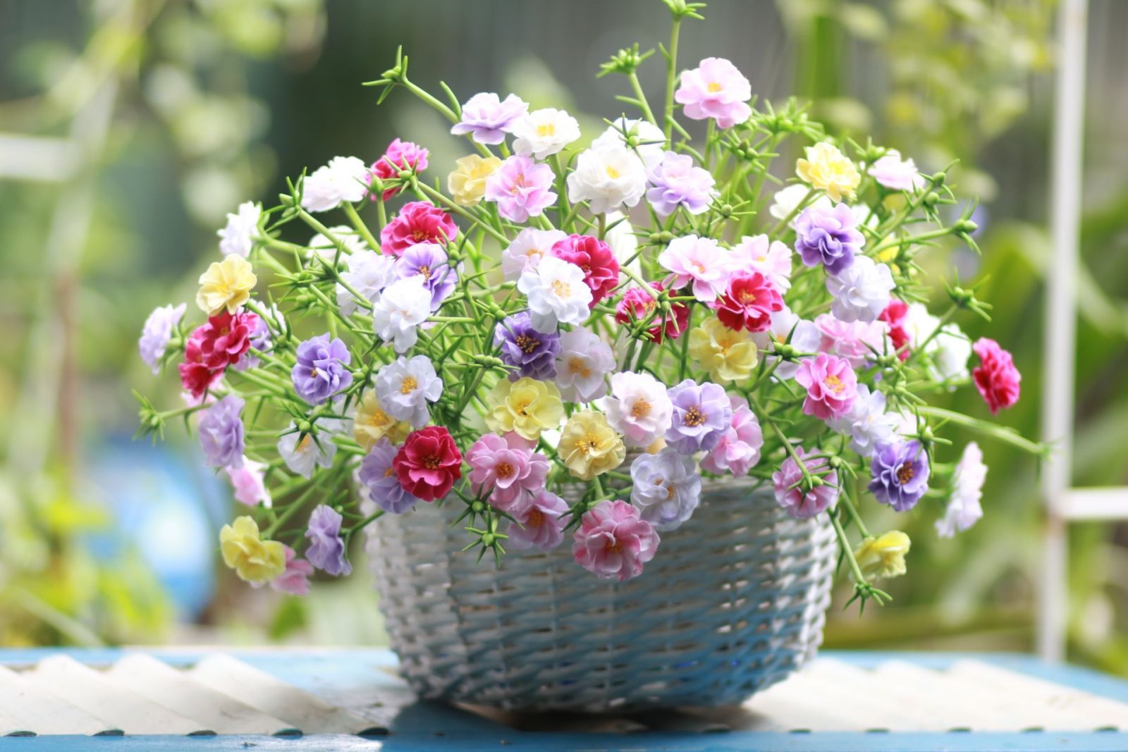 Tử vi ngày 19/9/2022 của 12 cung hoàng đạo